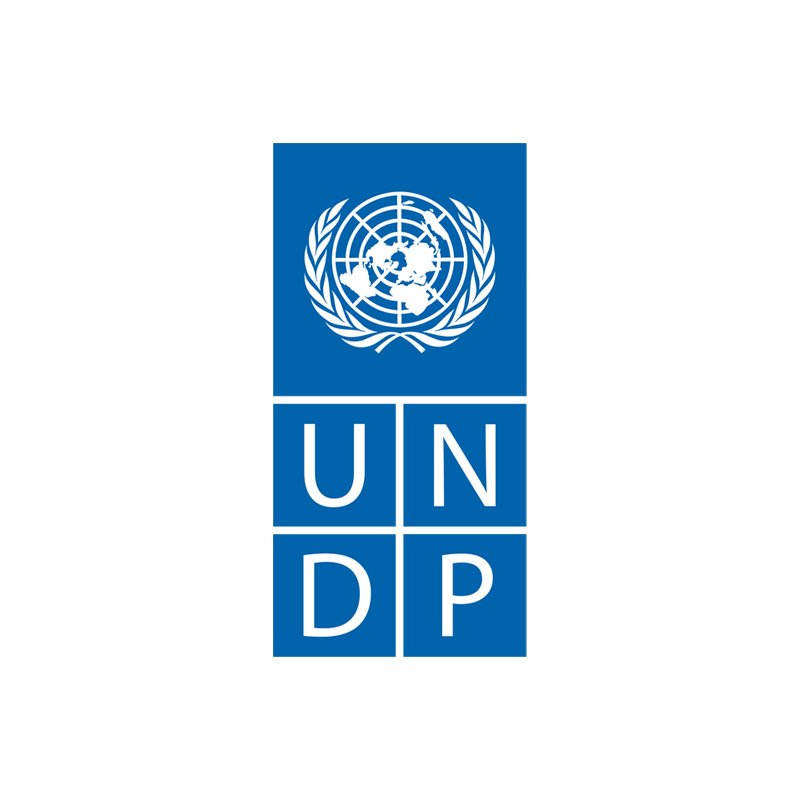 UNDP . Impact Partner
